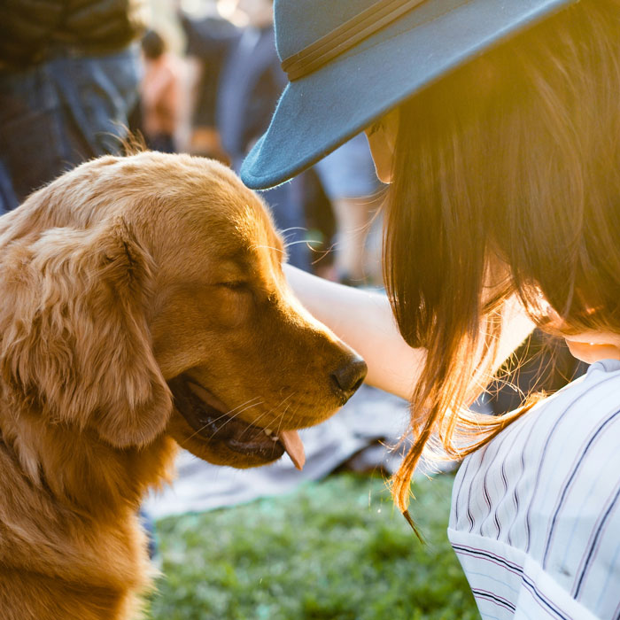 Hotel Venezia Park: pet friendly