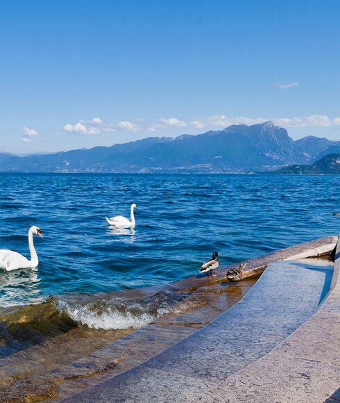 GARDASEE 7=6