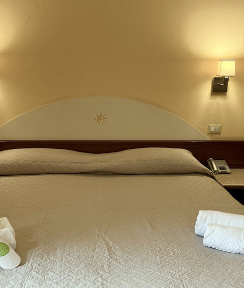 Camera Doppia standard - Hotel Al Sole